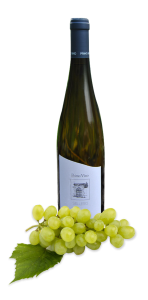 bottiglia primo vino vibu 2016